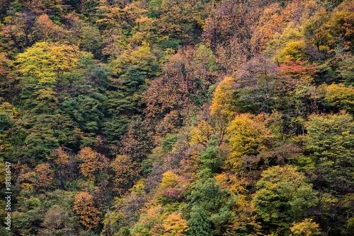 Kurobe Gorge, Toyama, Japan