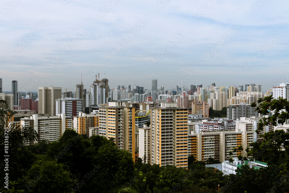Fototapeta premium Mount Faber 