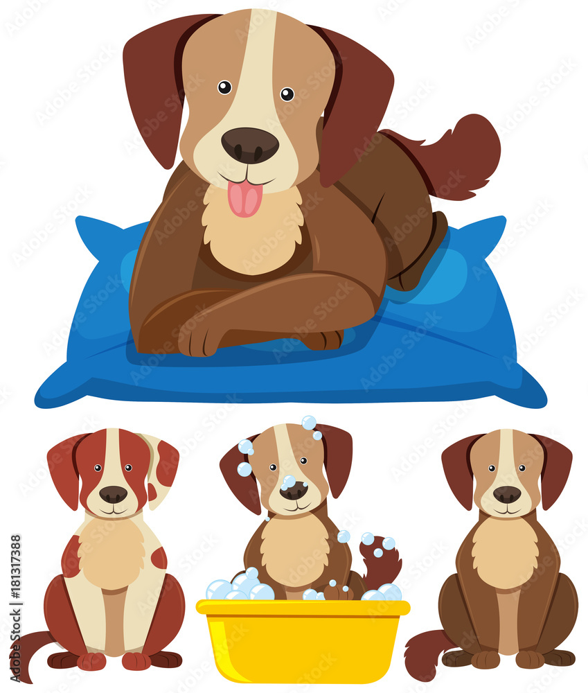 Cute dogs in different actions Cute dogs in different actions