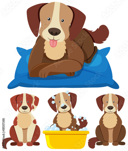 Cute dogs in different actions