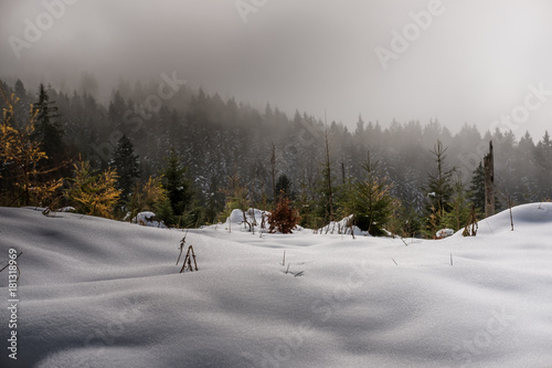 snowy landscape in the alps