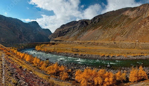beria. Altai Mountains, Aautumn on the river Chulyshman photo