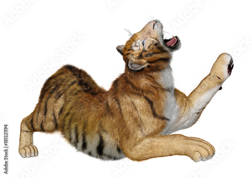 Fototapeta Naklejka Na Ścianę i Meble -  3D Rendering Big Cat Tiger on White