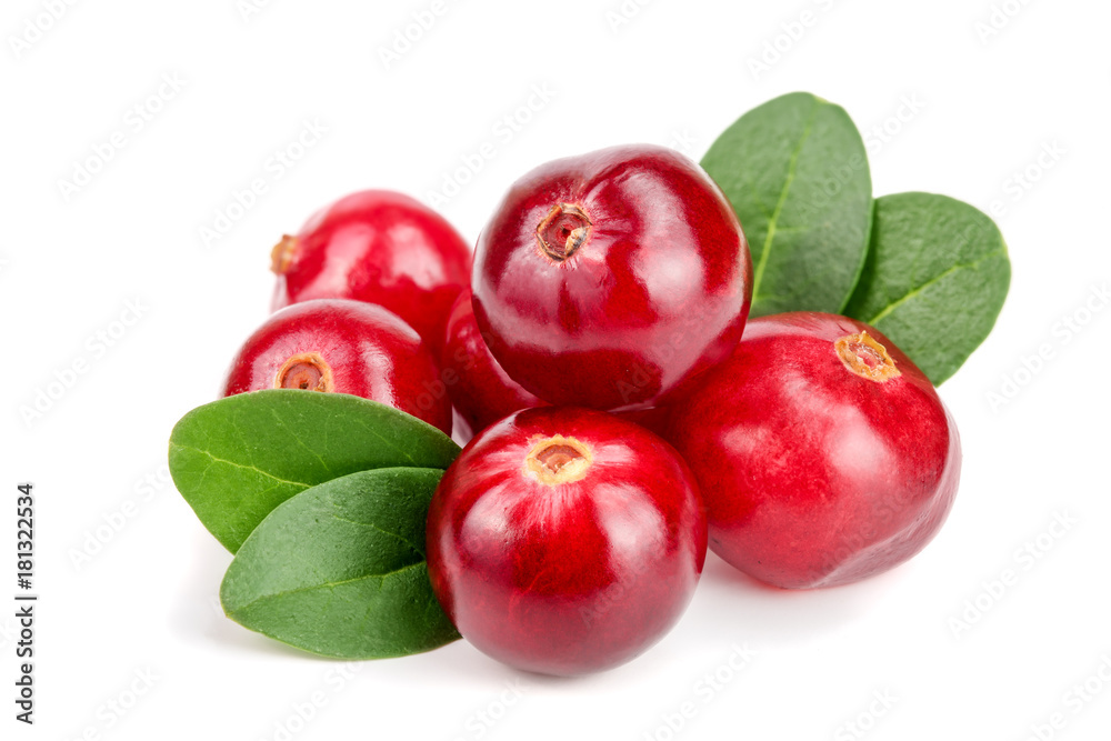 Cranberry with leaf isolated on white background closeup macro