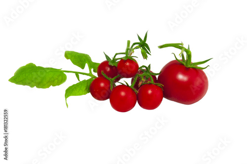 bunch of tomatoes on white background