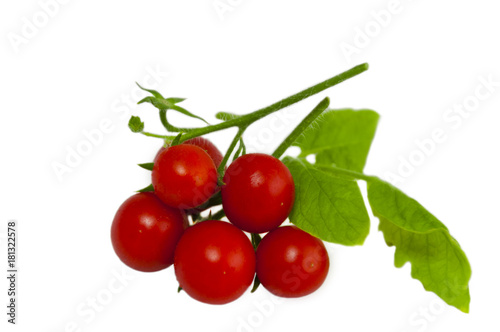 tomatoes with leaf on the twig