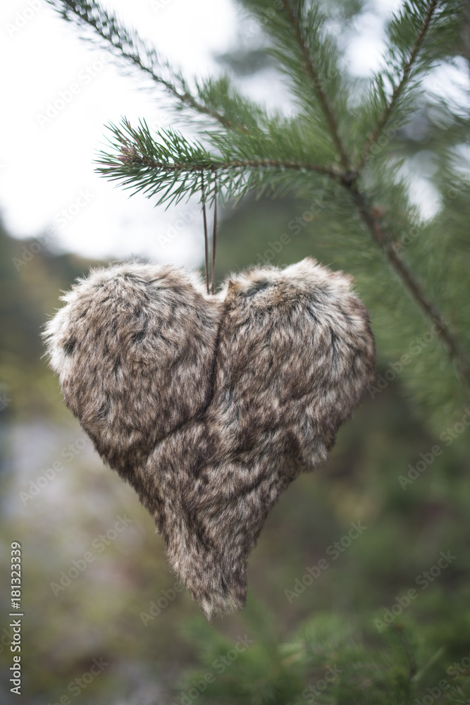 Leather heart shape in the forest Leather heart shape in the forest