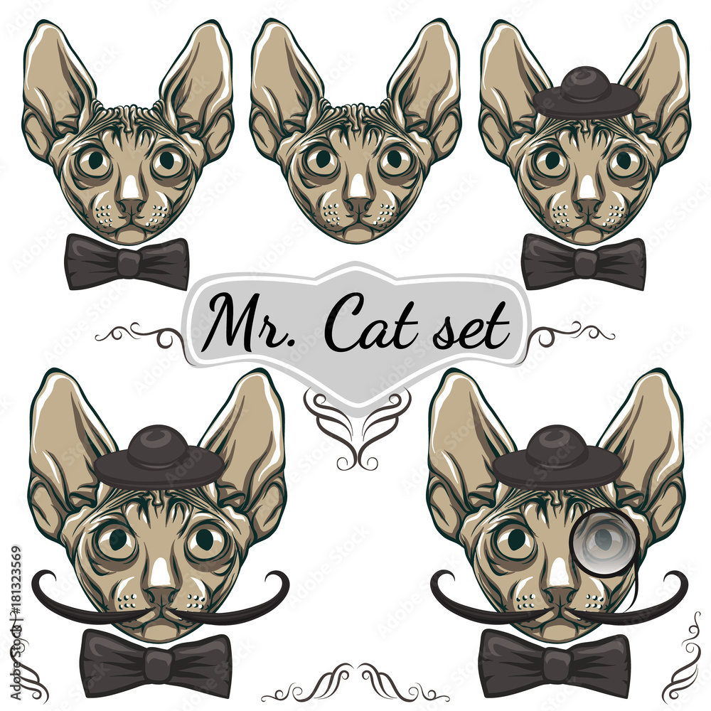 Fototapeta premium Cats set. Gentleman in a hat with a mustache