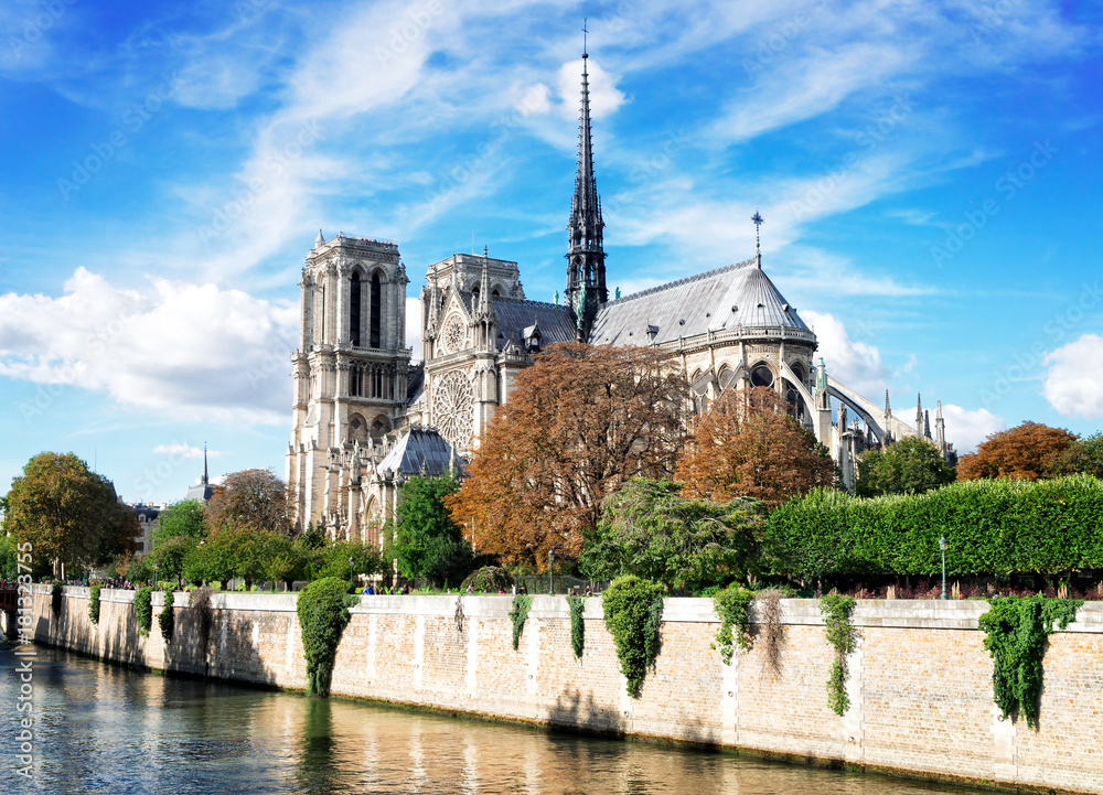 Notre Dame cathedral over the Seine river, Paris, France, retro toned