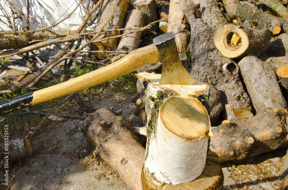 Fototapeta premium Siekiera