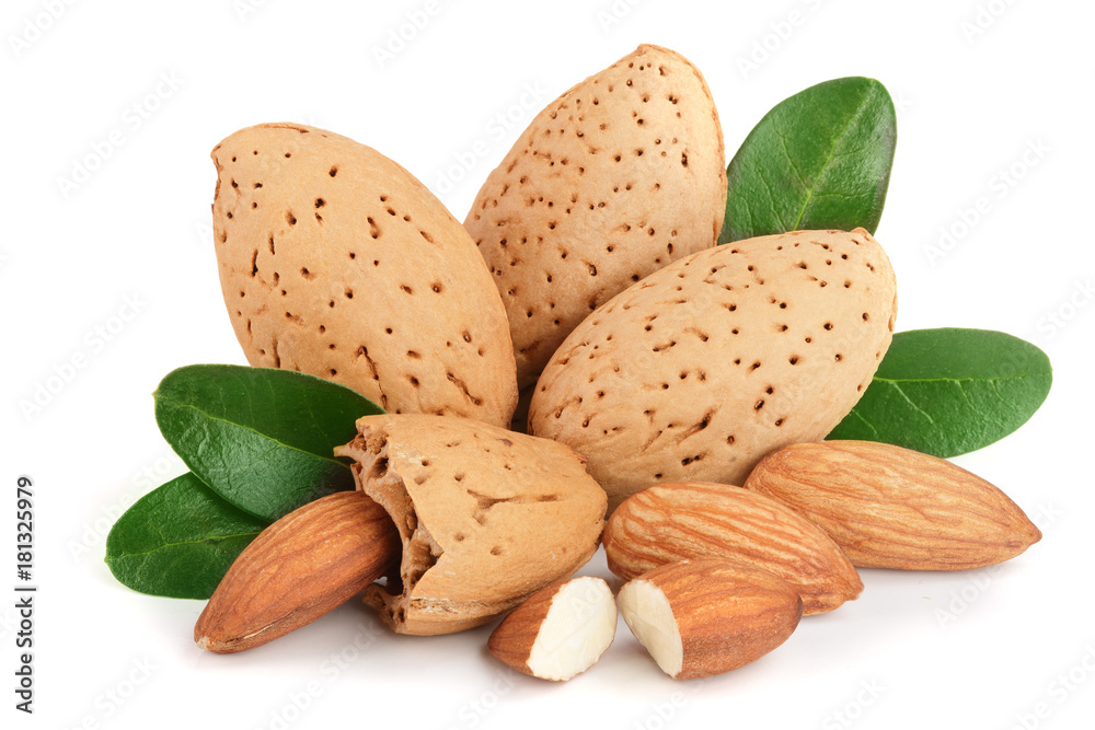 Group of almond nuts with leaves isolated on white background Group of almond nuts with leaves isolated on white background