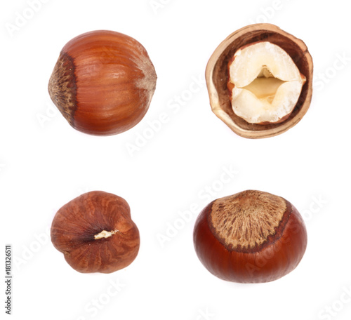 Hazelnut isolated on white background. Set or collection