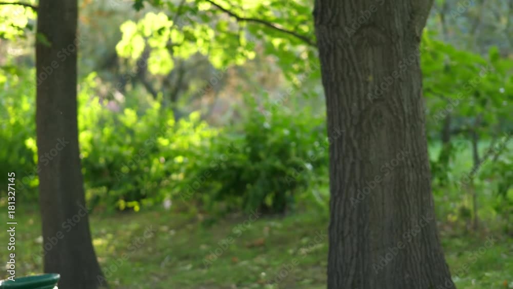 Young woman is running through the park on a sunny summer day Young woman is running through the park on a sunny summer day