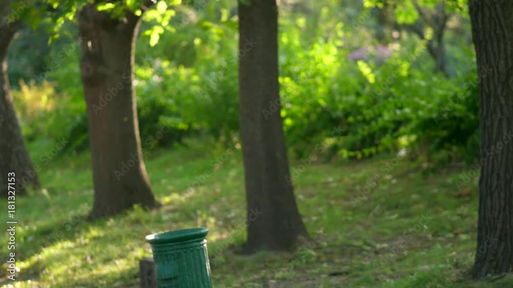 Young man is running through the park on a sunny summer day Young man is running through the park on a sunny summer day