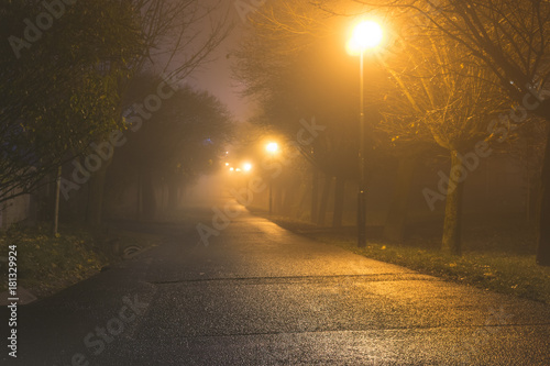Fototapeta Naklejka Na Ścianę i Meble -  Dark alley in heavy fog iluminated by street lamps