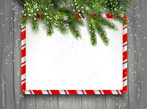 Fir branches background