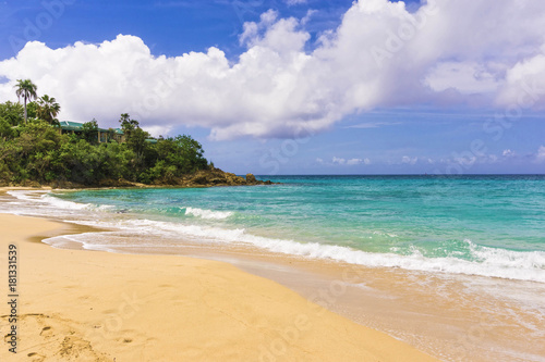 The Caribbean tropical beach