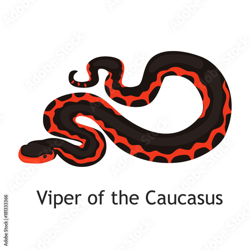 Caucasus viper color flat icon