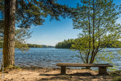 A bench near the lake