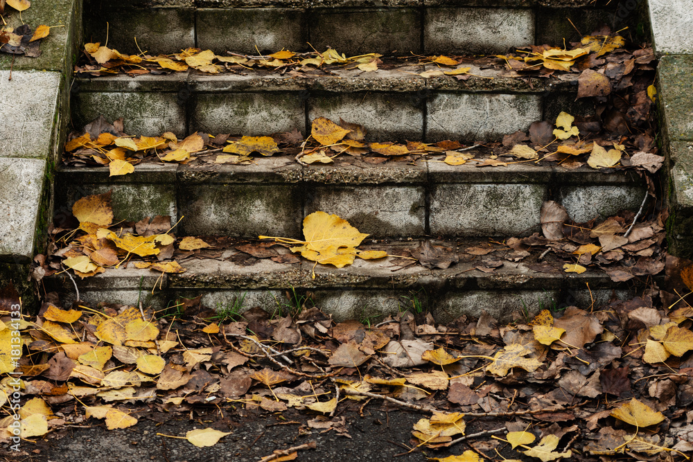 Obraz premium Old Concrete Stairway Covered In Autumn Leaves