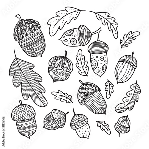 Acorns and oak leaves vestor set in boho style