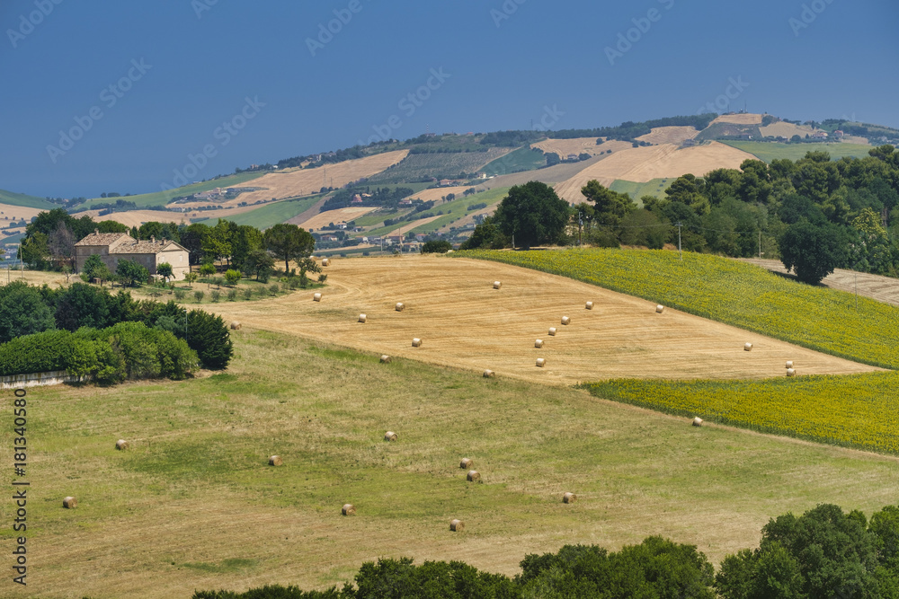 Naklejka premium Landscape near Sant'Elpidio a Mare (Marches, italy)