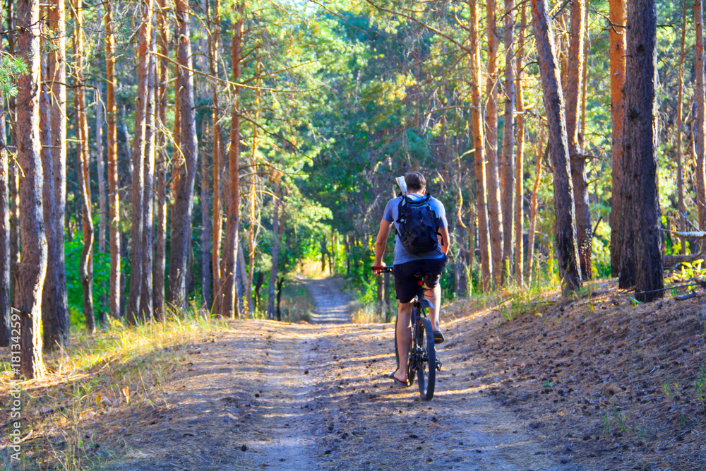 A guy in a gray T-shirt, black shorts and a black backpack is riding along a path in the forest on a bicycle.
