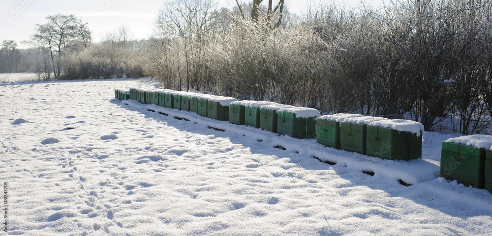 Obraz premium Bienenstöcke im Winter