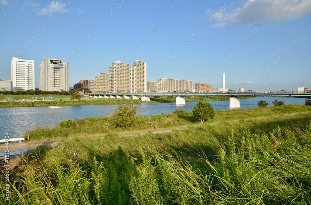日本 神奈川県 川崎市 武蔵小杉 多摩川 河川敷 高層ビル Japan Kanagawa Kawasaki City Musashikosugi Tamagawa River Skyscraper Stock Photo Adobe Stock