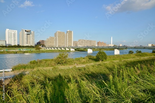 日本 神奈川県 川崎市 武蔵小杉 多摩川 河川敷 高層ビル japan kanagawa kawasaki city Musashikosugi Tamagawa river skyscraper photo