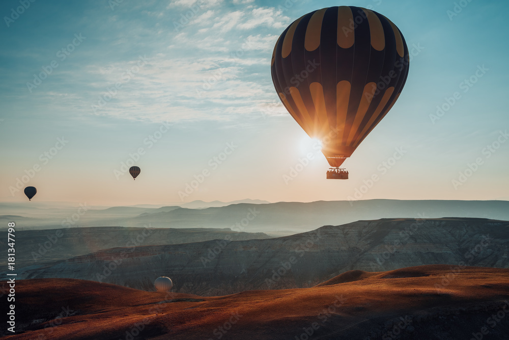 Fototapeta premium Hot air balloons flying over the valley at Cappadocia. Turkey