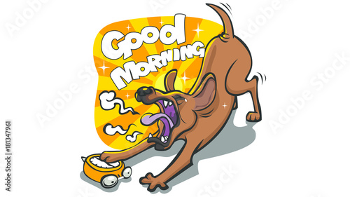 dog wake up