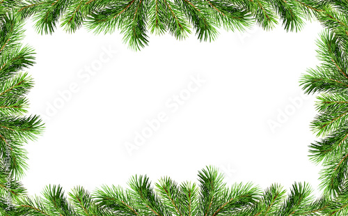 Green Christmas tree twigs borders