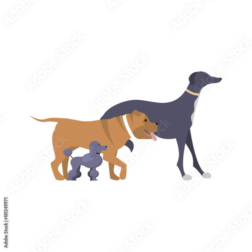 Logo with a dogs