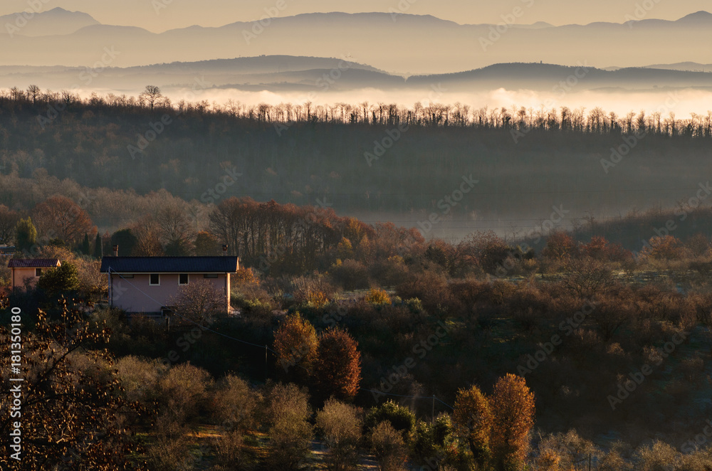 Campagna all'alba