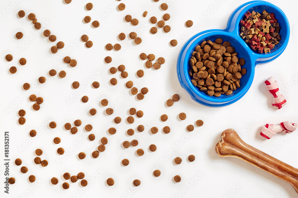 Dry pet food in bowl and bone on white background top view Dry pet food in bowl and bone on white background top view