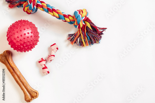 Dog toys set: colorful cotton dog toy and pink ball on a white background photo