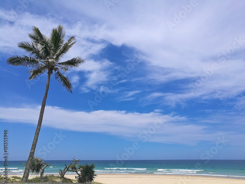 Sunny beach with palm coconut tree in Gold Coast Australia photo