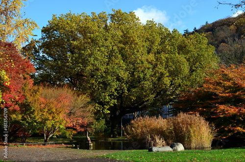 Freiburger Stadtgarten im Herbst