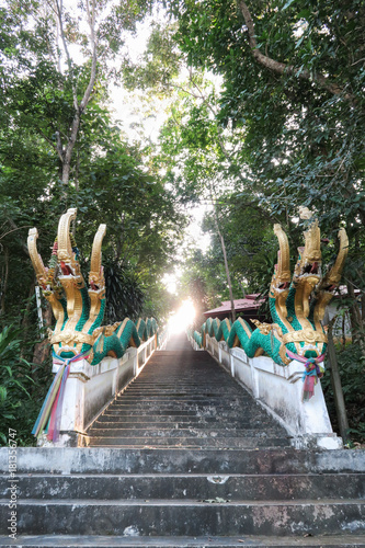King of Nagas way