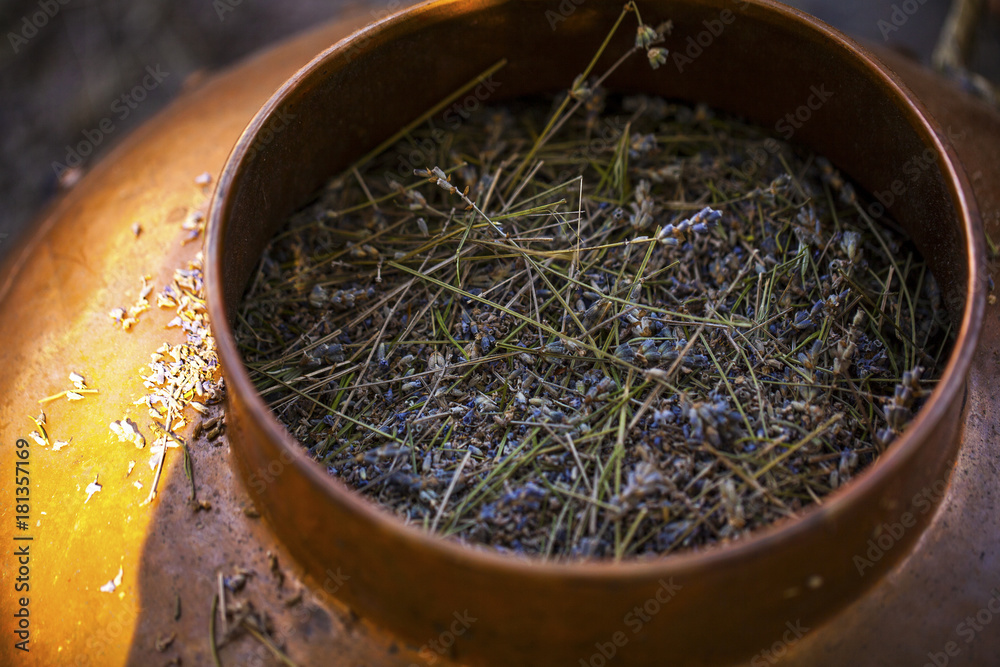Obraz premium Zabytkowa miska z miedzi używana do destylacji do produkcji olejku eterycznego z lawendy.