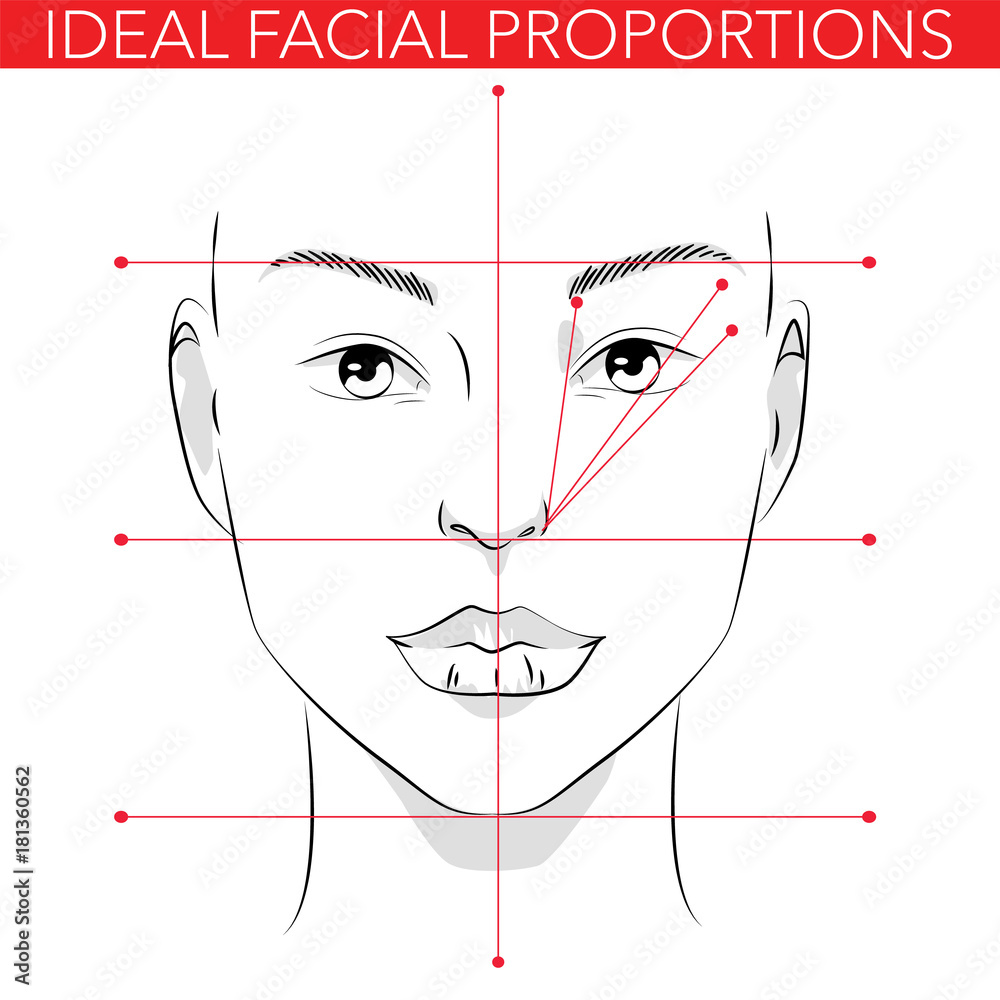 Perfect Face Proportions perfect-face-proportions