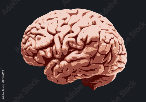 cerveau - médecine - intelligence - santé - mentale - symbole - médecin - maladie - neurone - cérébral