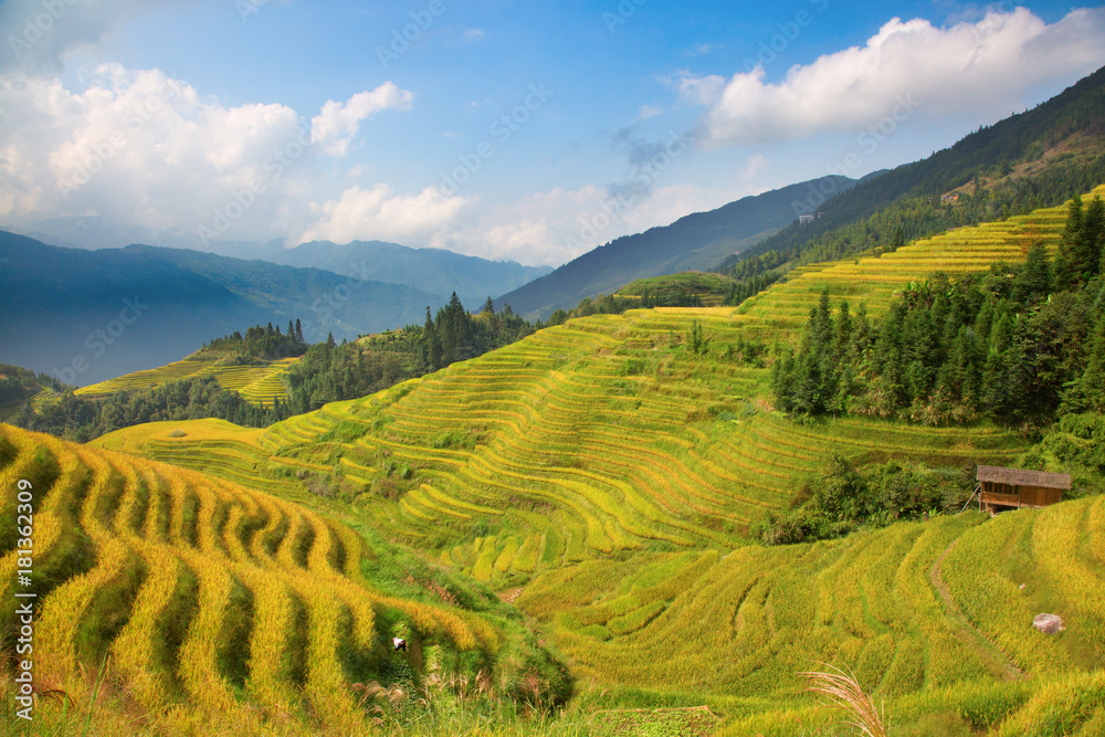 Fototapeta premium Longji Rice Terraces