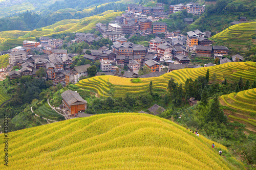 Longji Rice Terraces