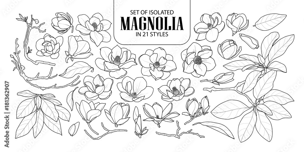 Set of isolated magnolia in 21 styles. Cute hand drawn flower vector illustration in black outline and white plane. - obrazy, fototapety, plakaty 