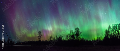 Northern Lights pillars in sky