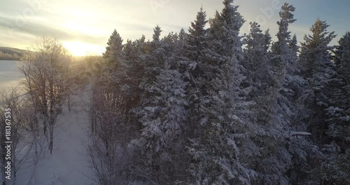 A drone shot rising up and than forward of the sun rising over snow covered trees