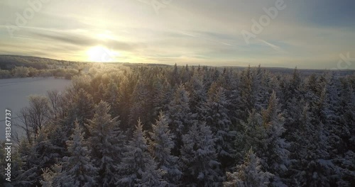 A drone shot zooming out over snow covered trees and a rising sun