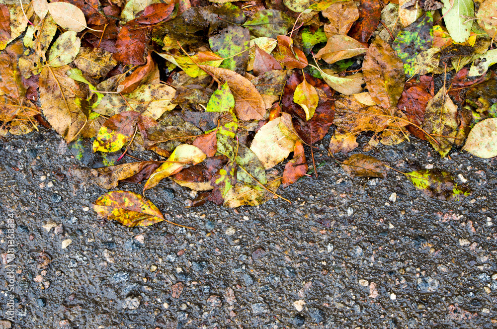 autumn background